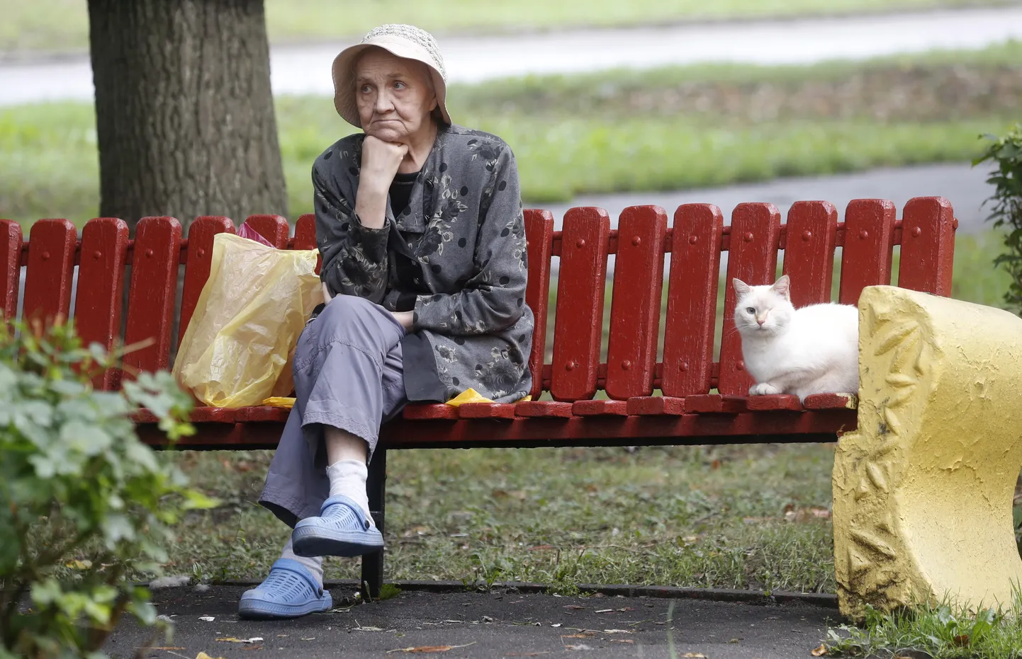 Raksta foto