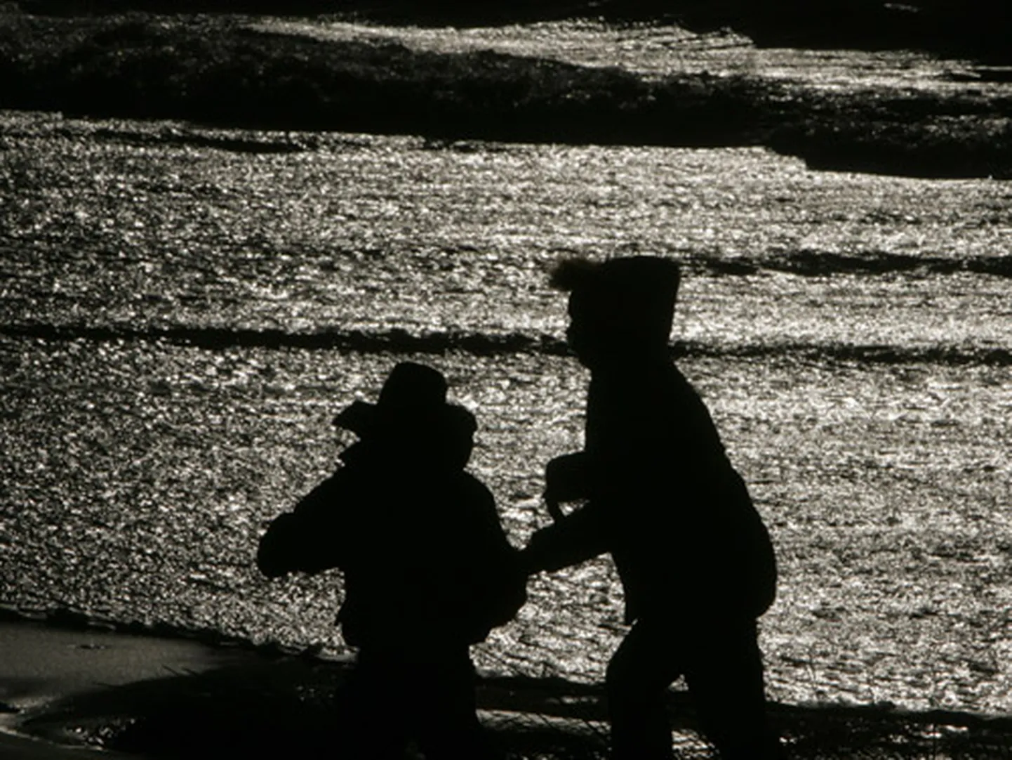 Raksta foto