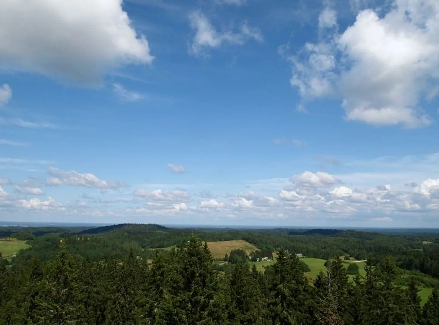 Raksta foto