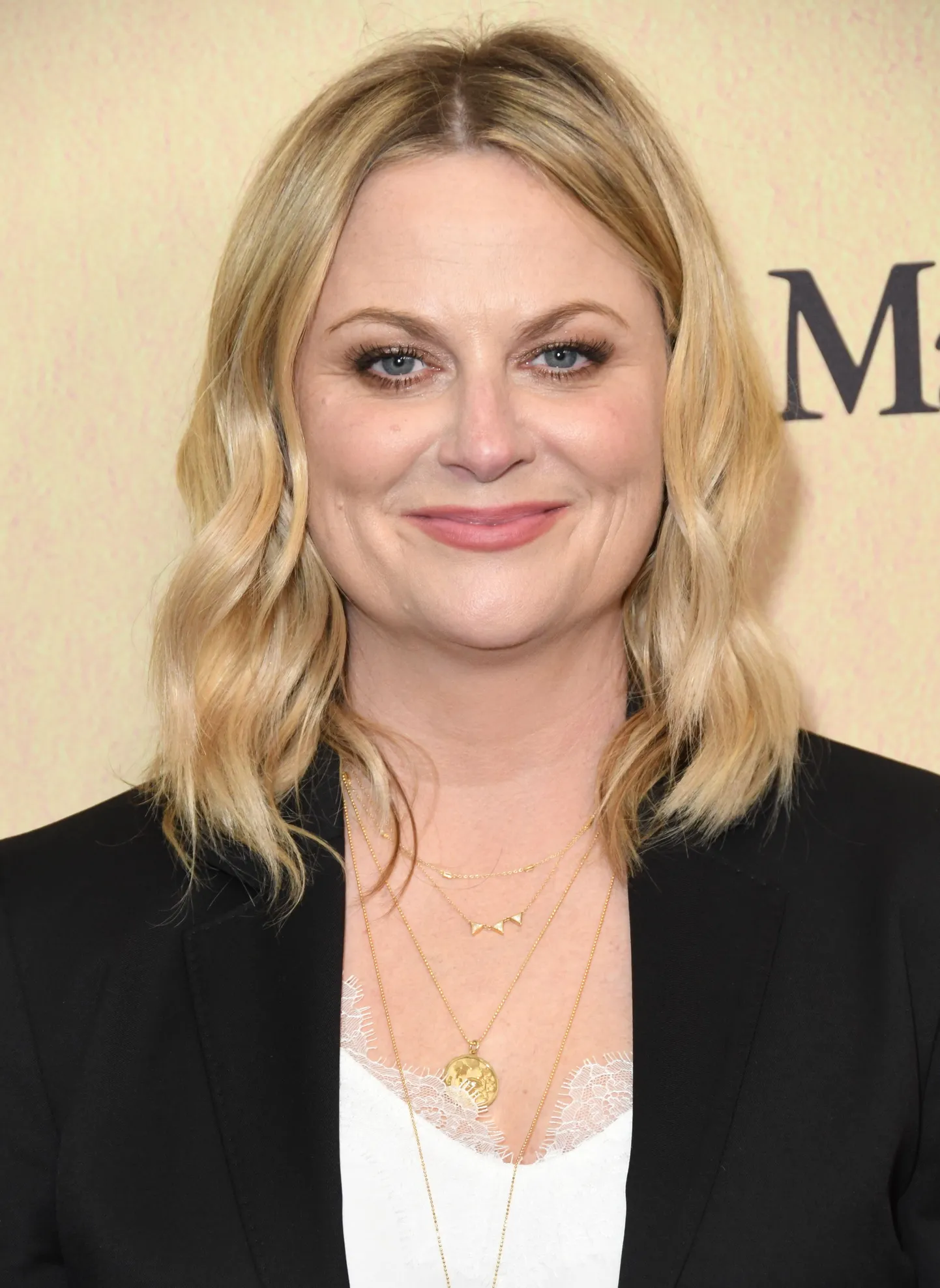 Näitleja Amy Poehler