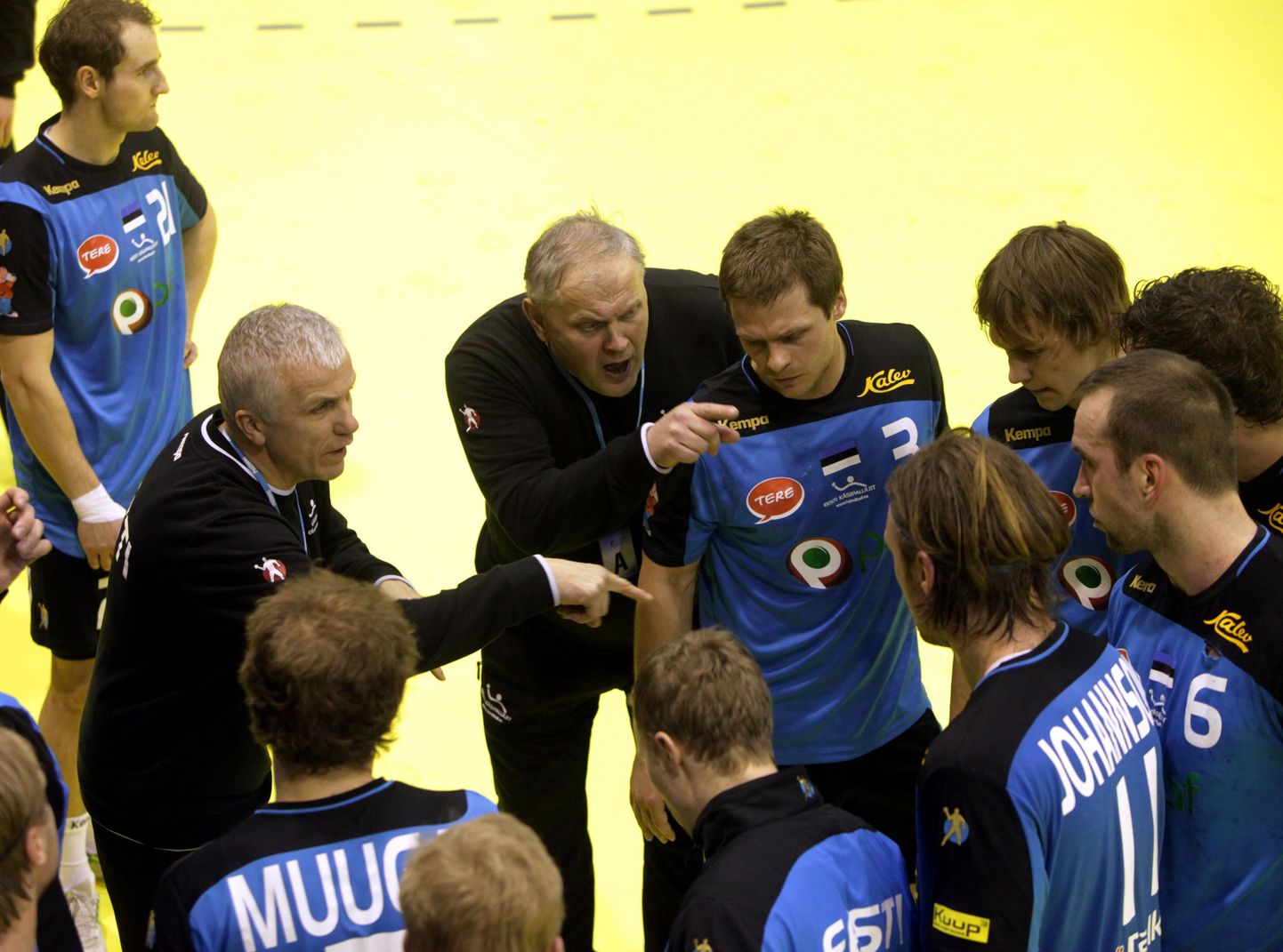 Eesti meeste käsipallikoondis