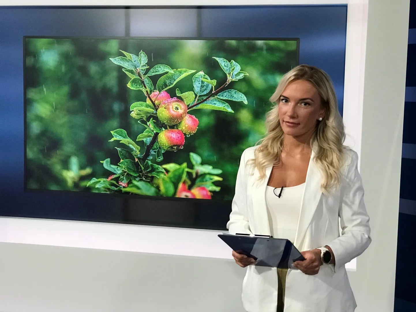 Reelika Bergmanil on võimalus saada õhtuse uudistesaate ilmateadustajaks.