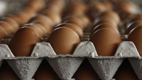 В ЕС в миллионах яиц нашли яд