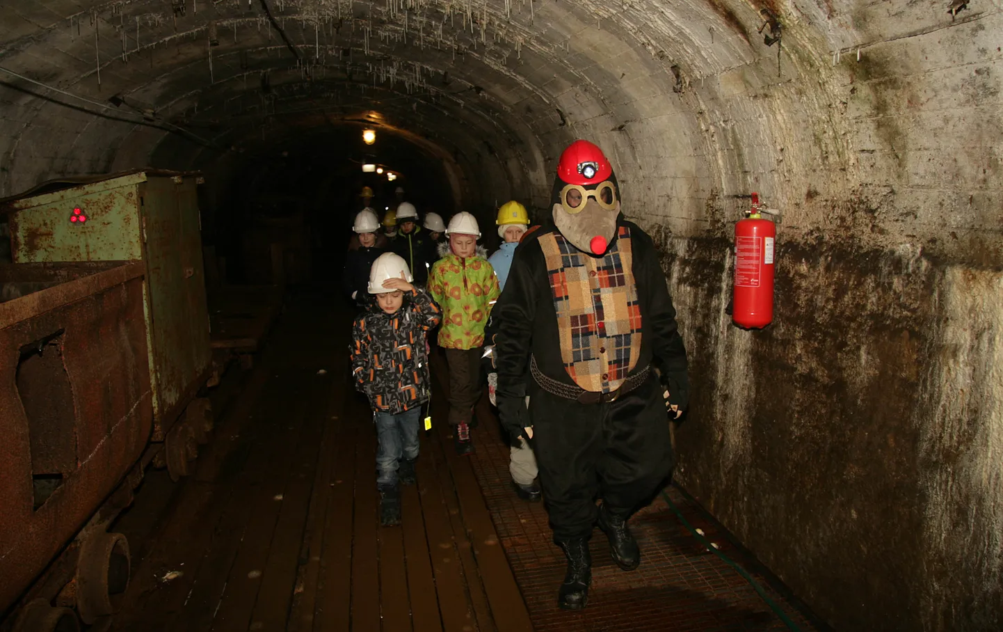 Kui kaevanduskäikudes on mutte nähtud liikumas aastaid, eriti jõulude eel, siis nüüd on plaanis üks mutt ka maa peale tuua. Skulptor Aivar Simsoni käe all valmib mutt-kaevuri kuju, millel on peas kaevuri kiiver ning käes kirka.