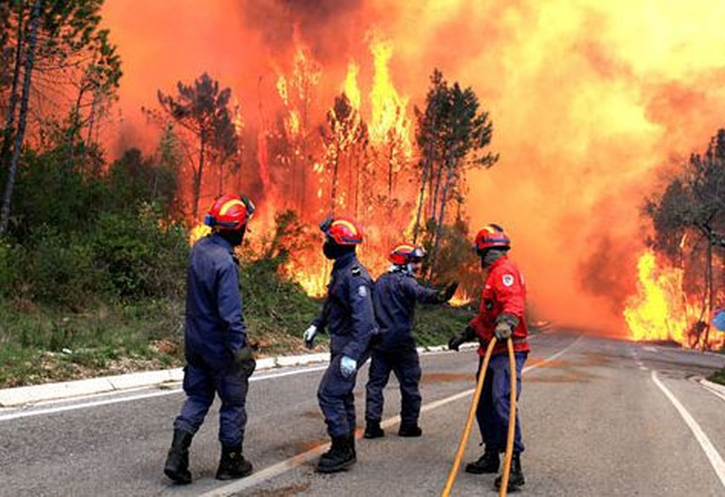 Portugali maastikupõlengutes on hukkunud neli inimest