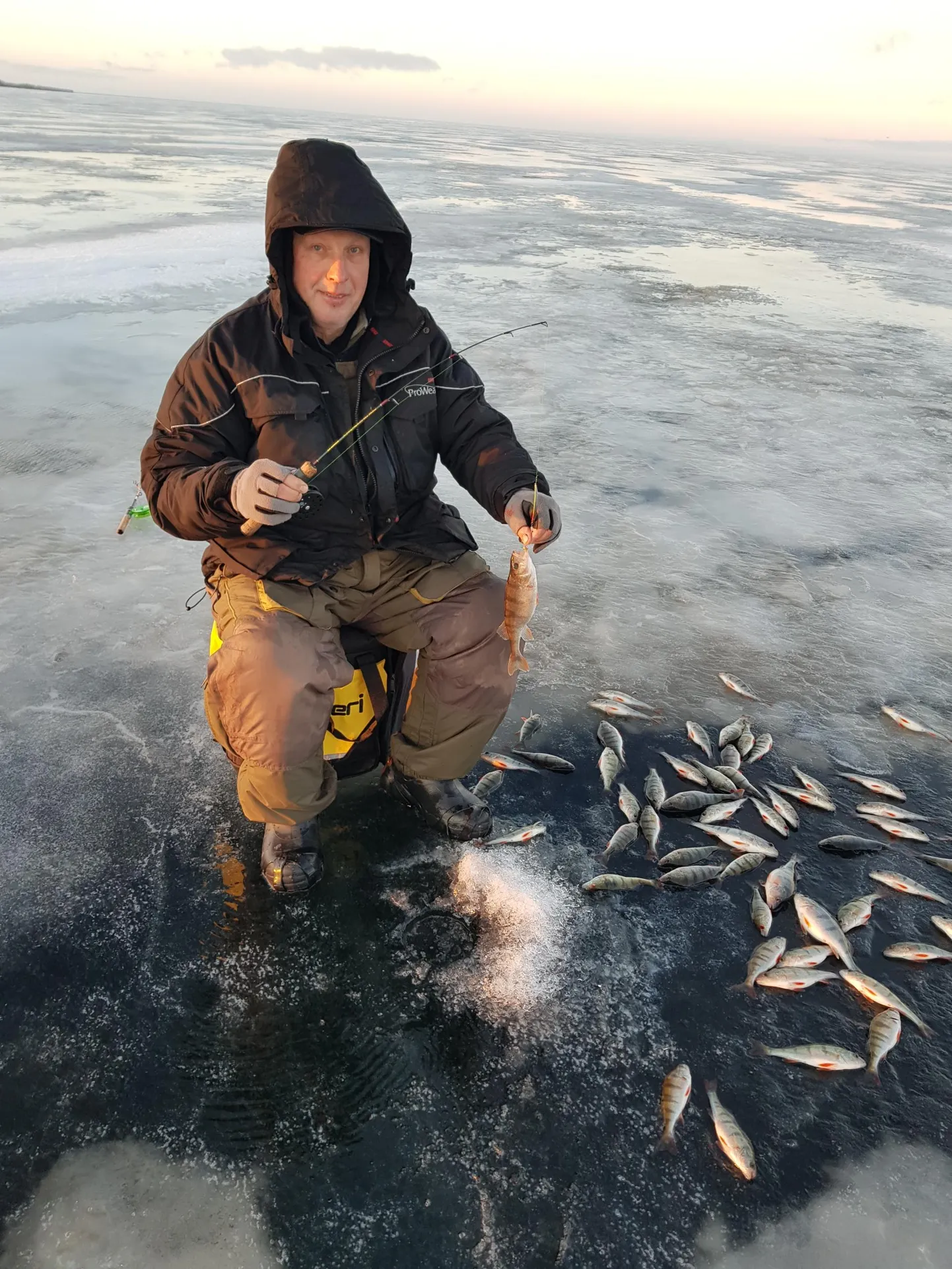 Tõnu Lehtsaare saagiks viimasel kalalkäigul oli kuus kilo ahvenat.