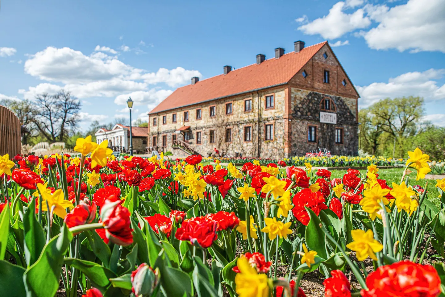 Фото статьи