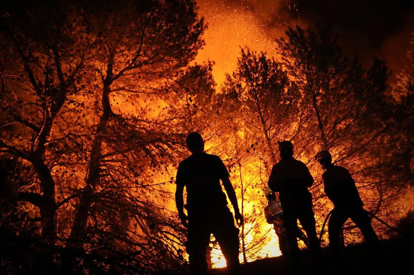 Tuletõrjujad üleeile Hispaanias Alicante lähedal Torre de Macanesis metsatulekahjuga võitlemas.