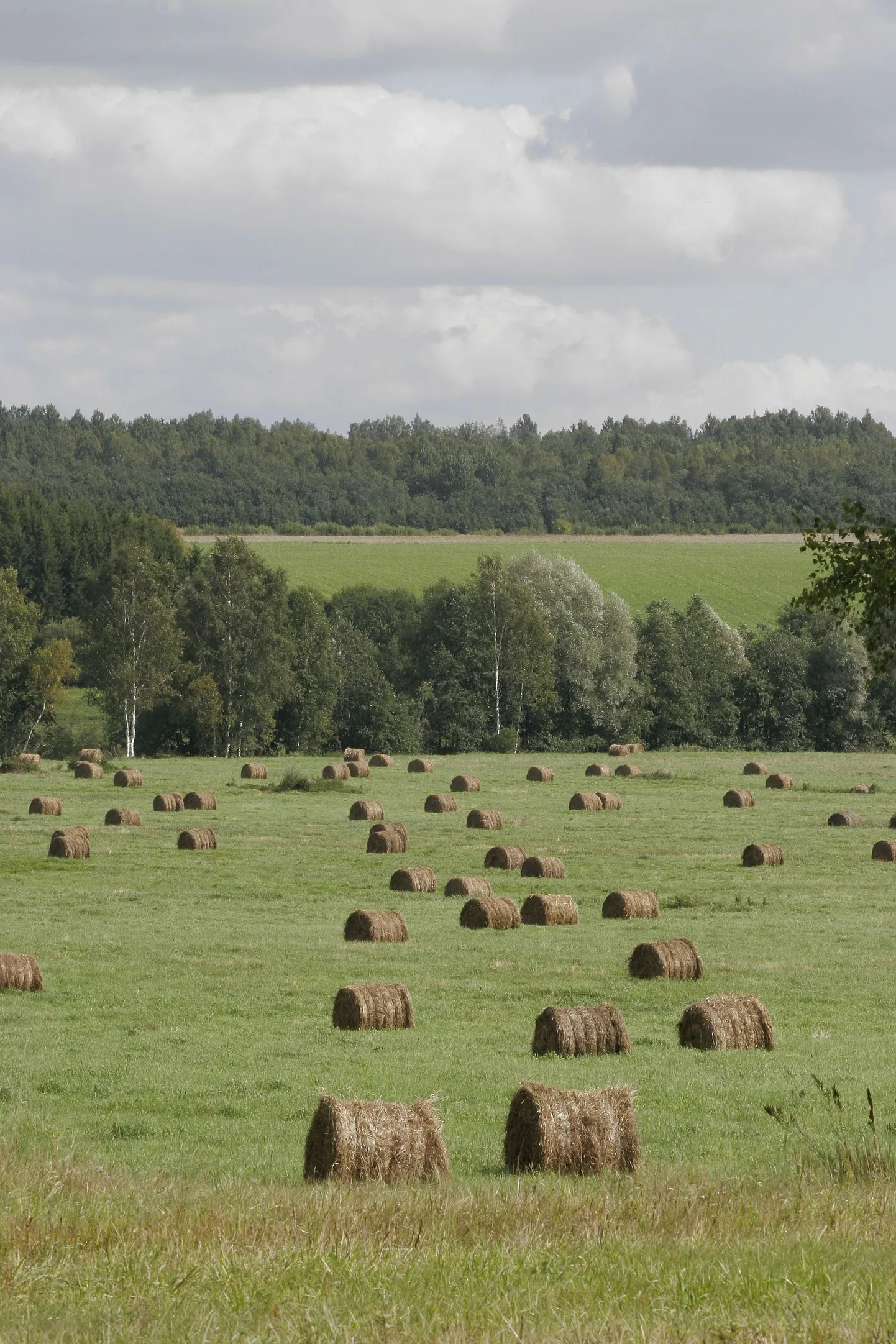 Sügisesed heinatööd.
