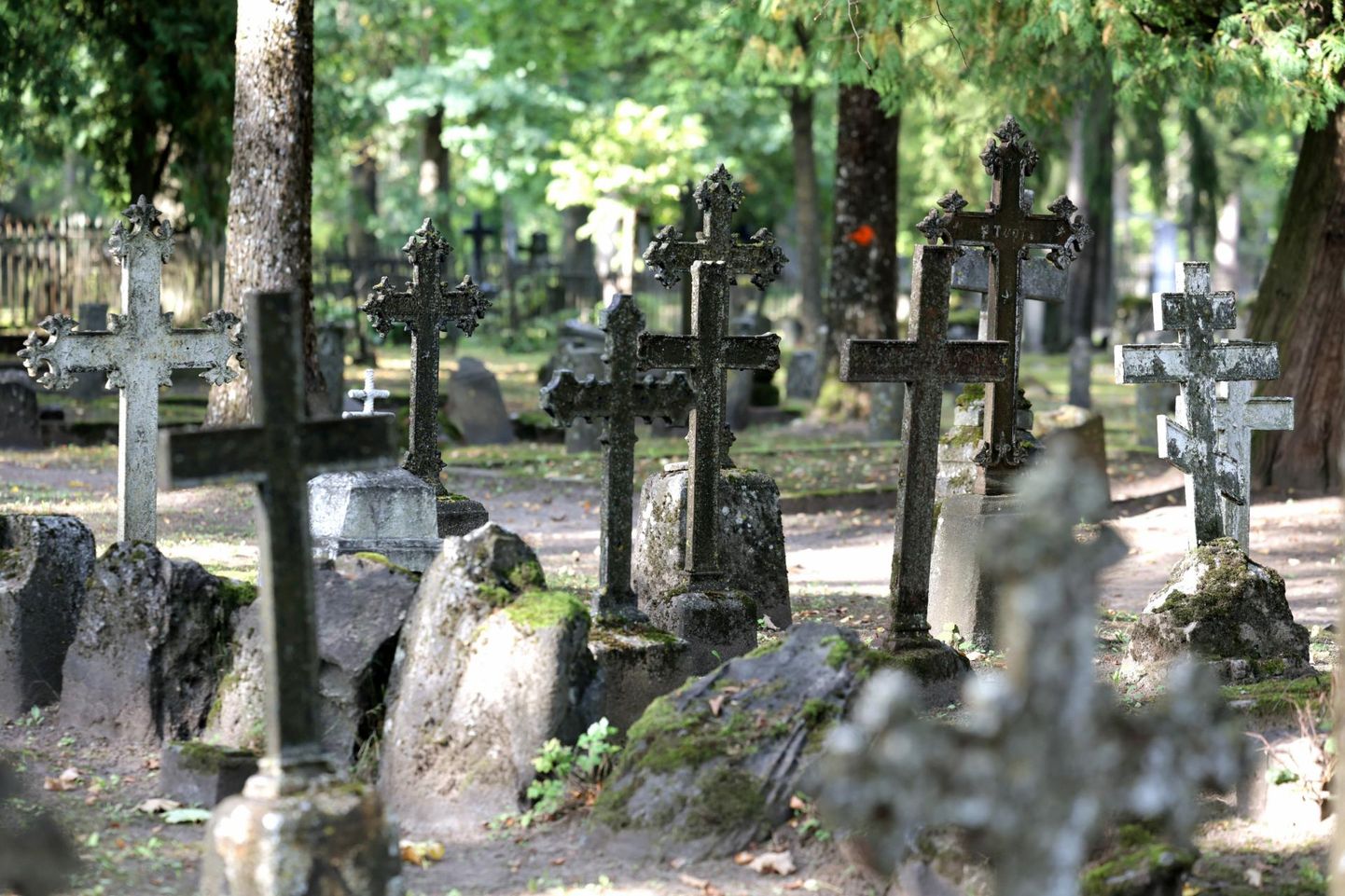 Hauatähised Raadi surnuaia vanimas osas Vana-Jaani kalmistul.