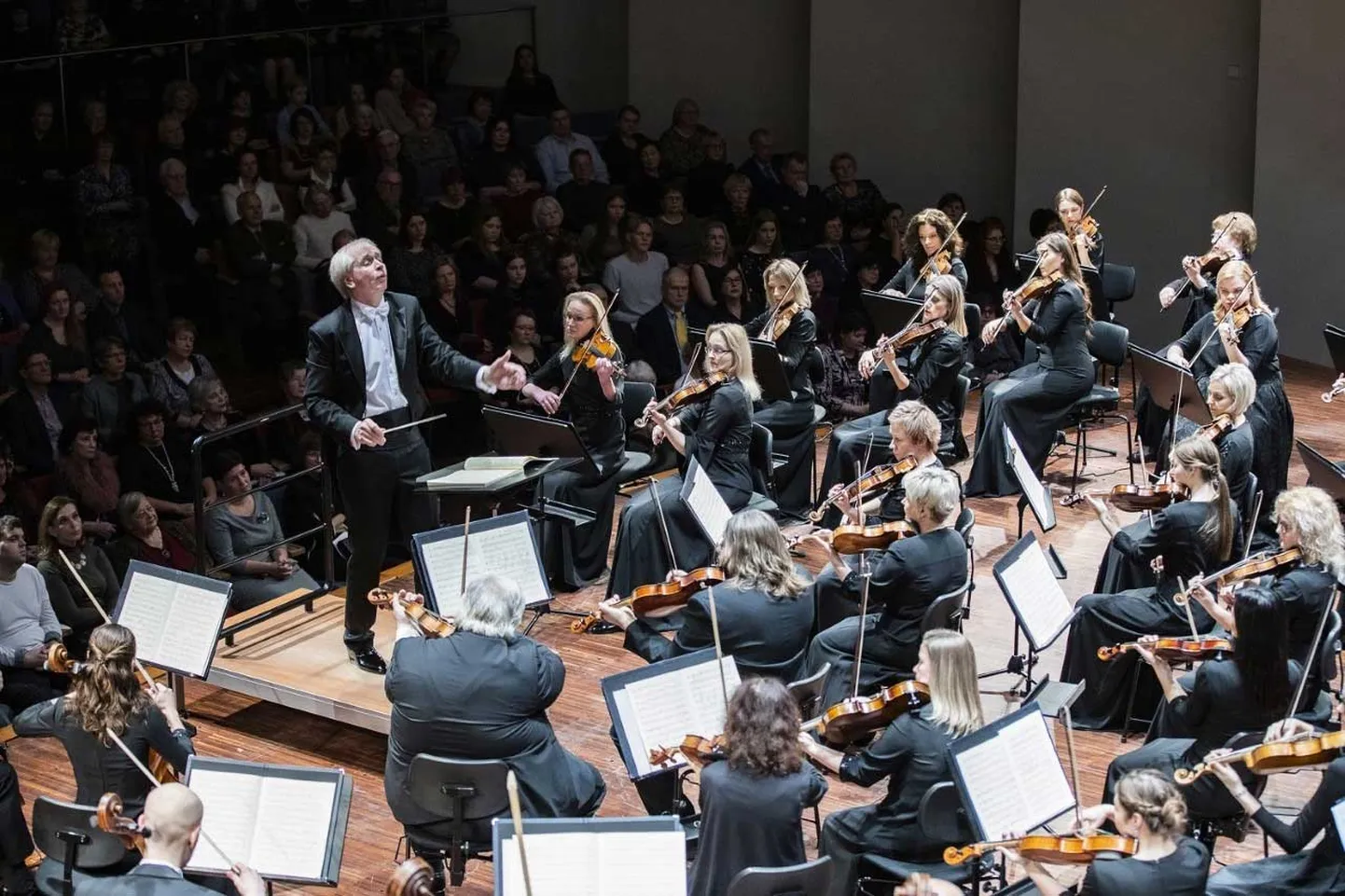 LSO