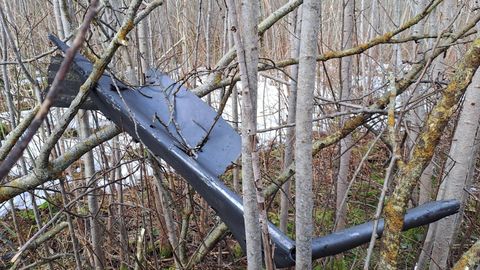 Nausēdas birojs: Ukraina paudusi nožēlu par dronu incidentiem Baltijas valstīs