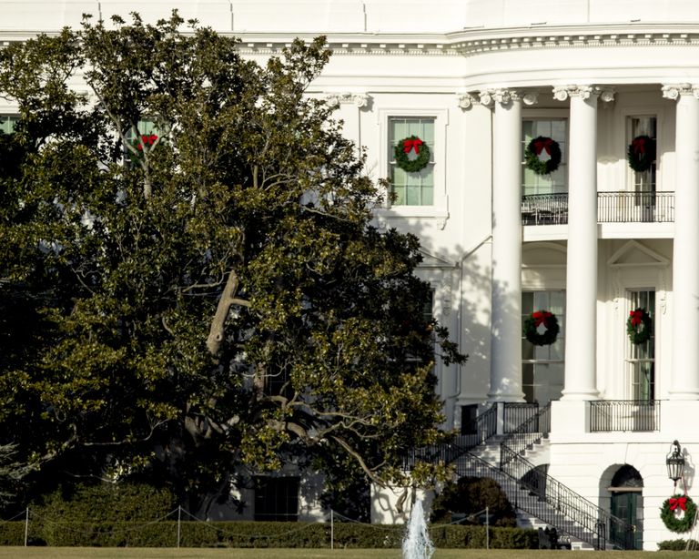 Ekspertide sõnul on Valge Maja 182-aastane magnoolia muutunud ohtlikuks