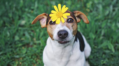 Horoskops sestdienai, 11. aprīlim