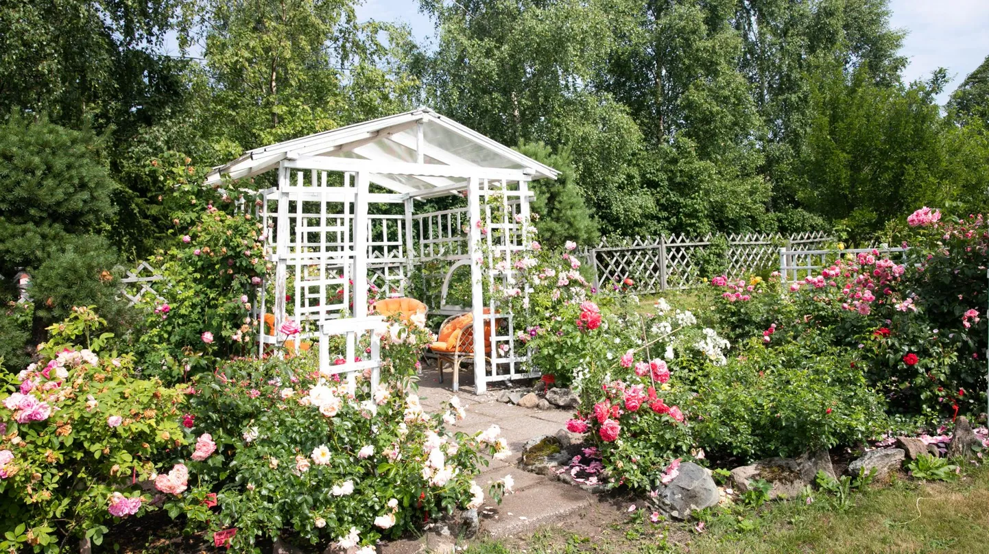 Идиллический павильон, окруженный розами. Фотои является иллюстративным.
