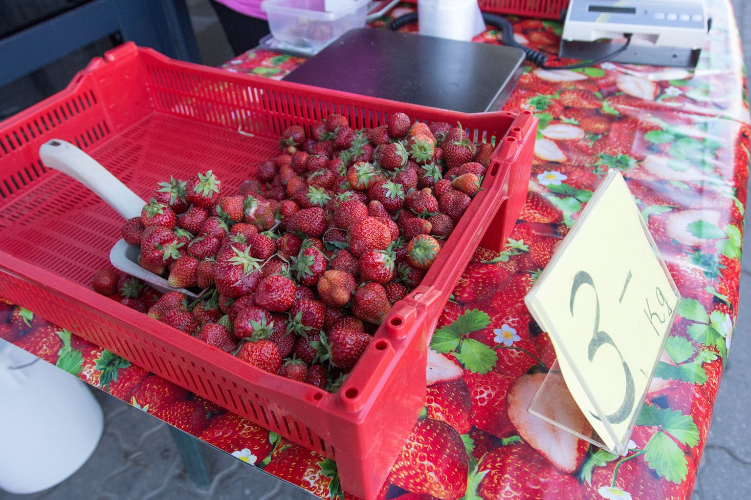 Kuni kodumaiseid maasikaid veel müügil ei ole tuleb leppida välismaistega - pildil Poola maasikad.