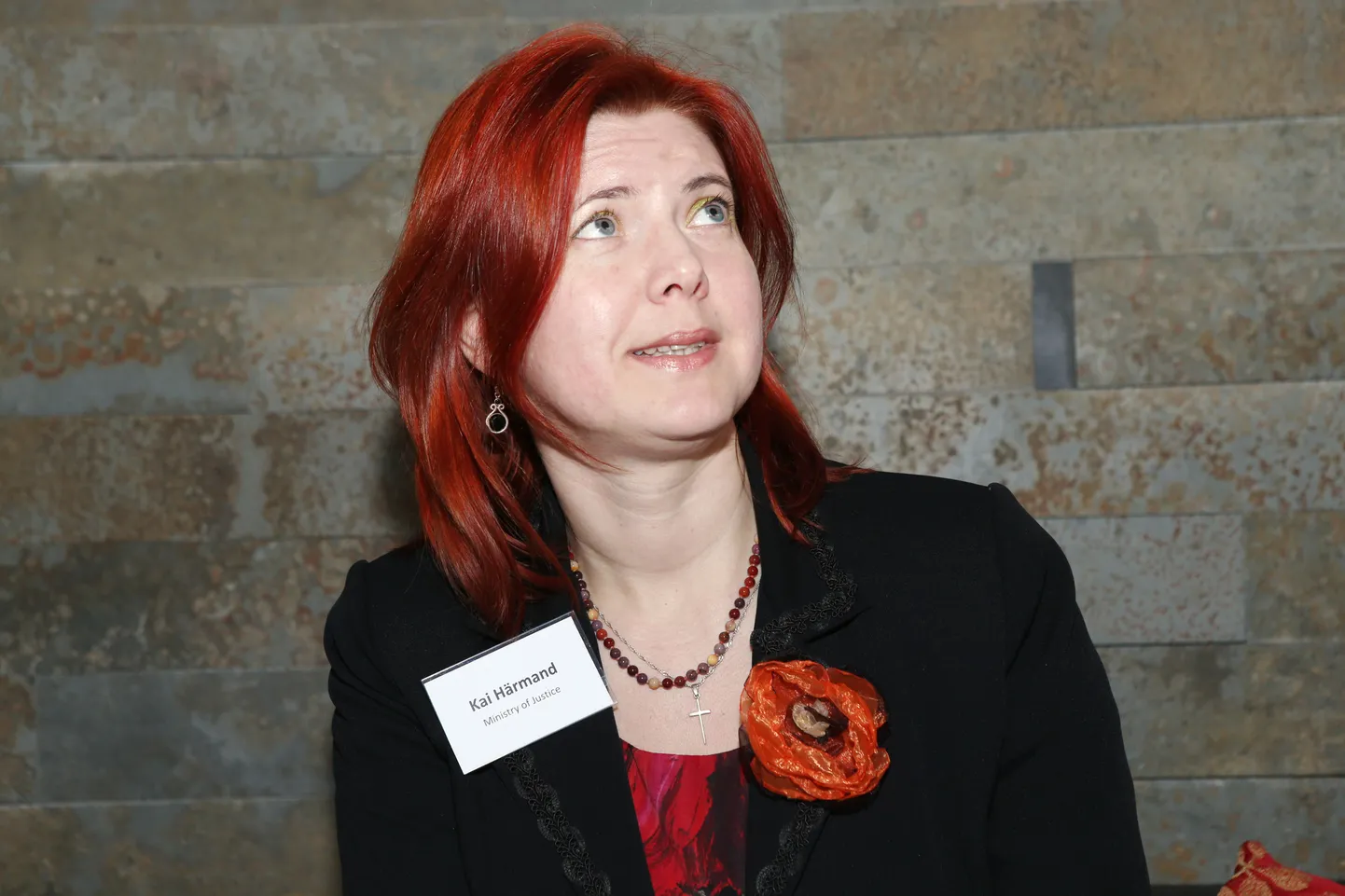 Justiitsministeeriumi asekantsler Kai Härmand.