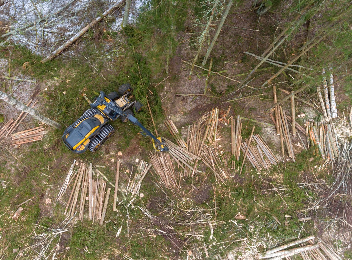 Drooni ülesvõte metsa üles töötamisest.