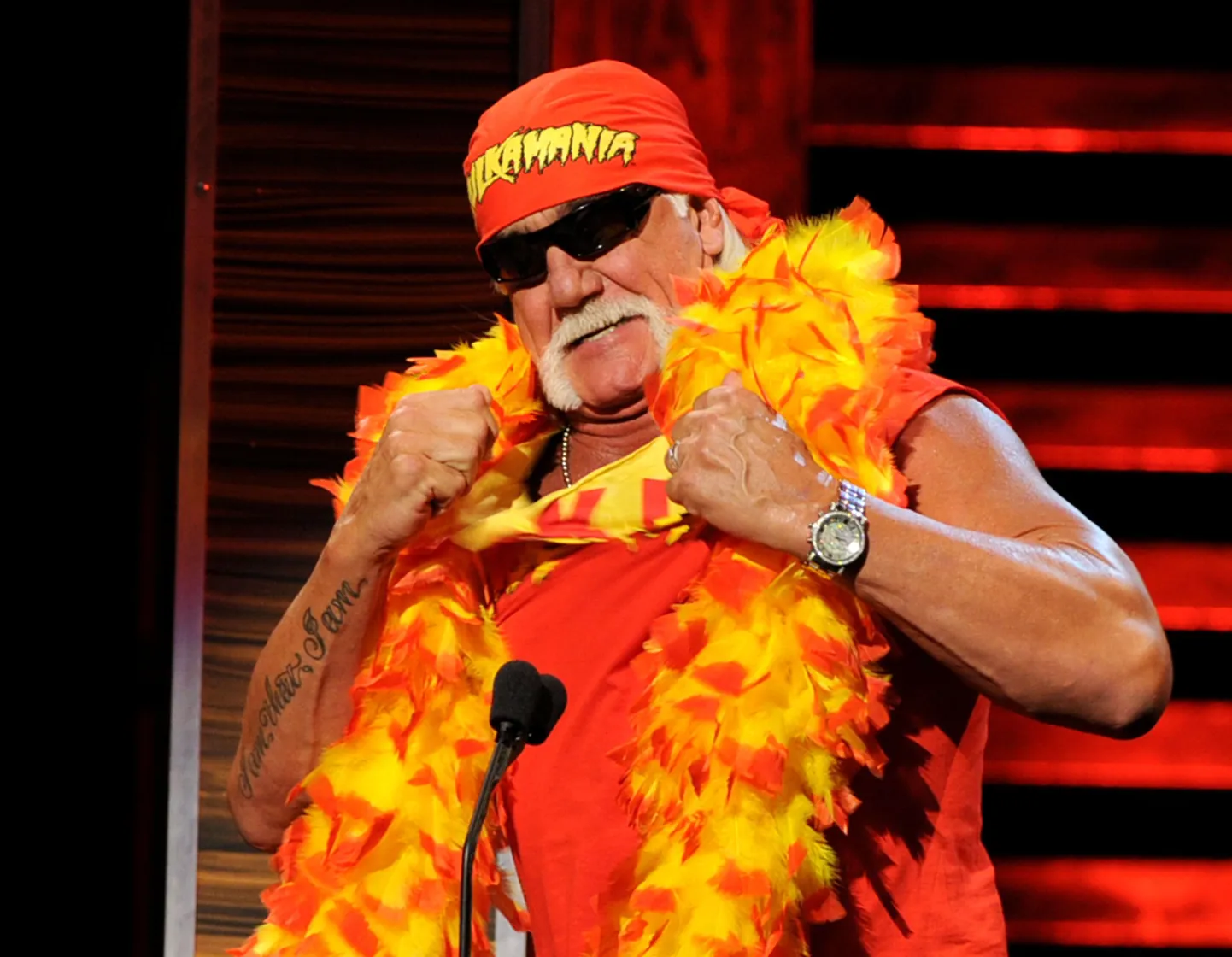 Hulk Hogan