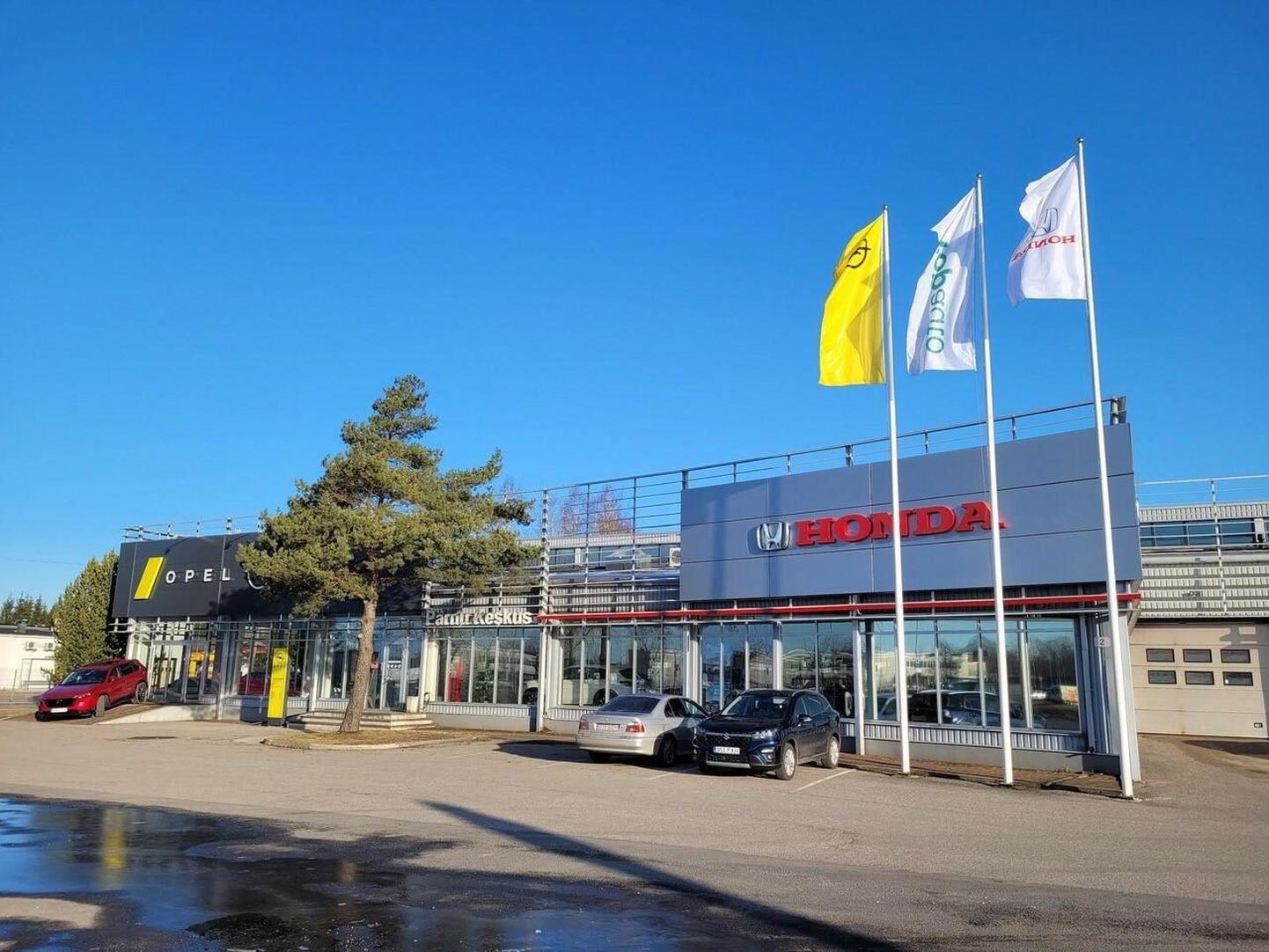 Topauto ostis Pärnus Catweesi müügiesinduse, kus pakutakse Honda mudelivalikut ja plaanitakse Opeli müüki.