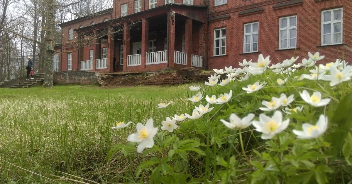 Mõisasuve hoogne programm on kirju nagu vanaema lapitekk