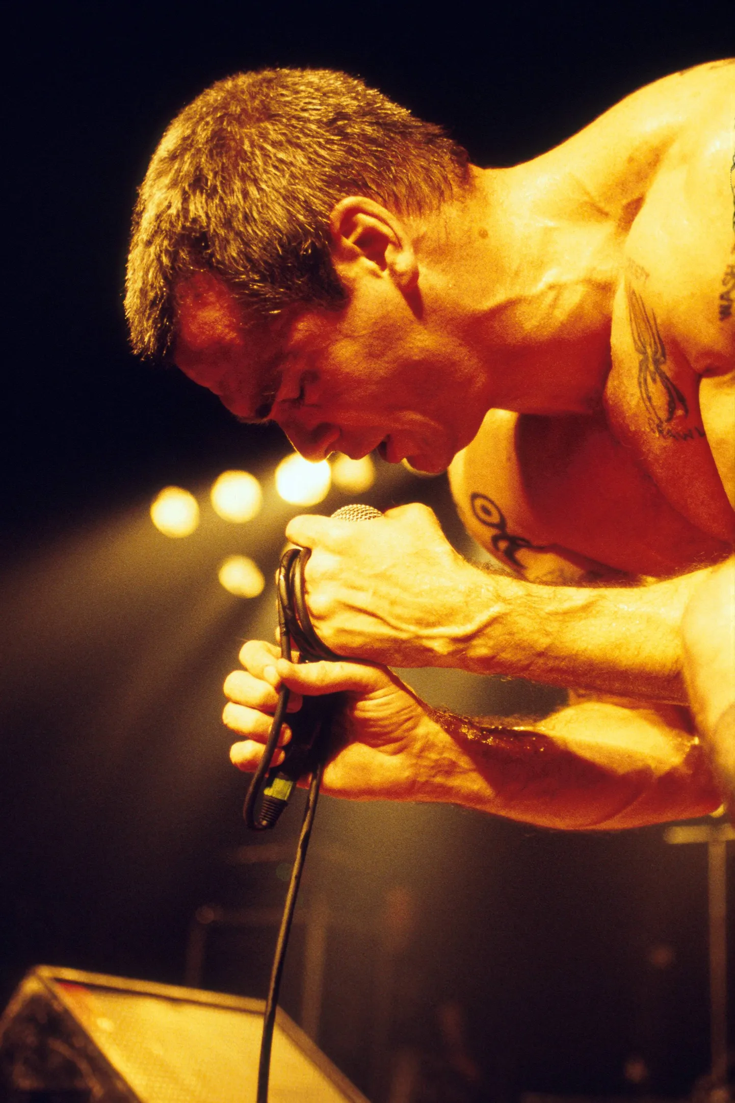 Henry Rollins esinemas Henry Rollins Bandiga.