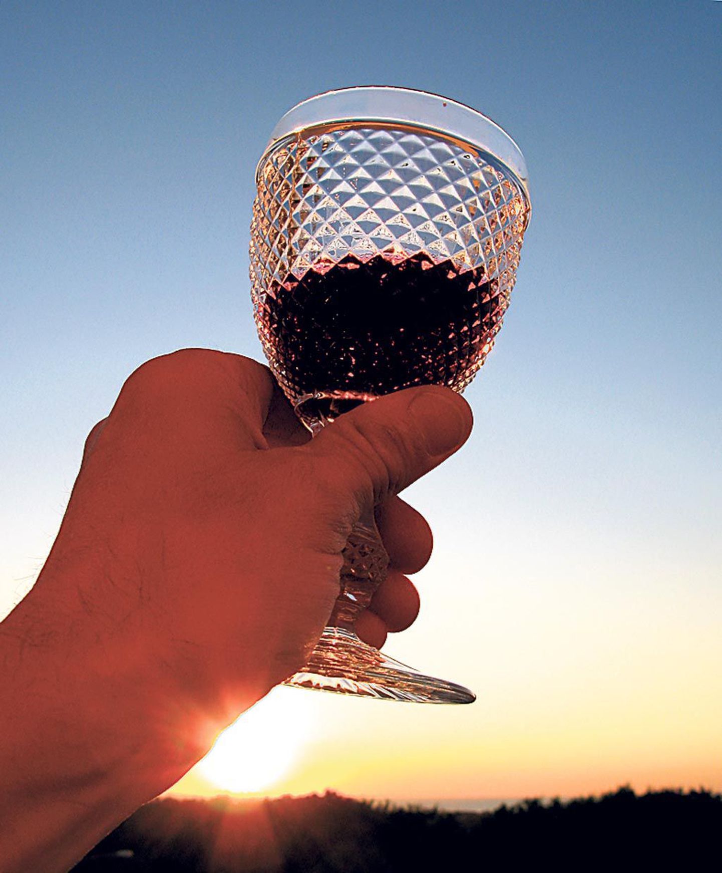 Väike vein olla tervisele aina kasuks, väidavad teadlased.