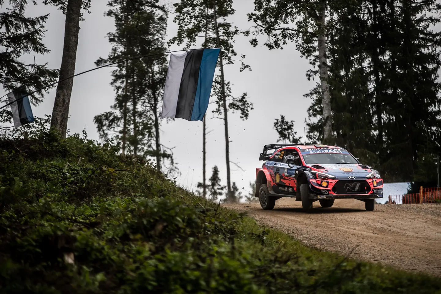 Rally Estonia 2020