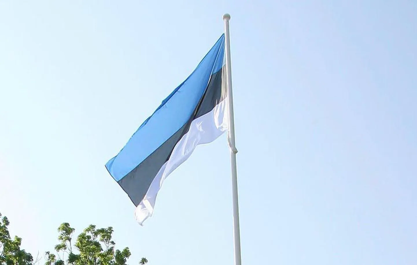 Artikli foto