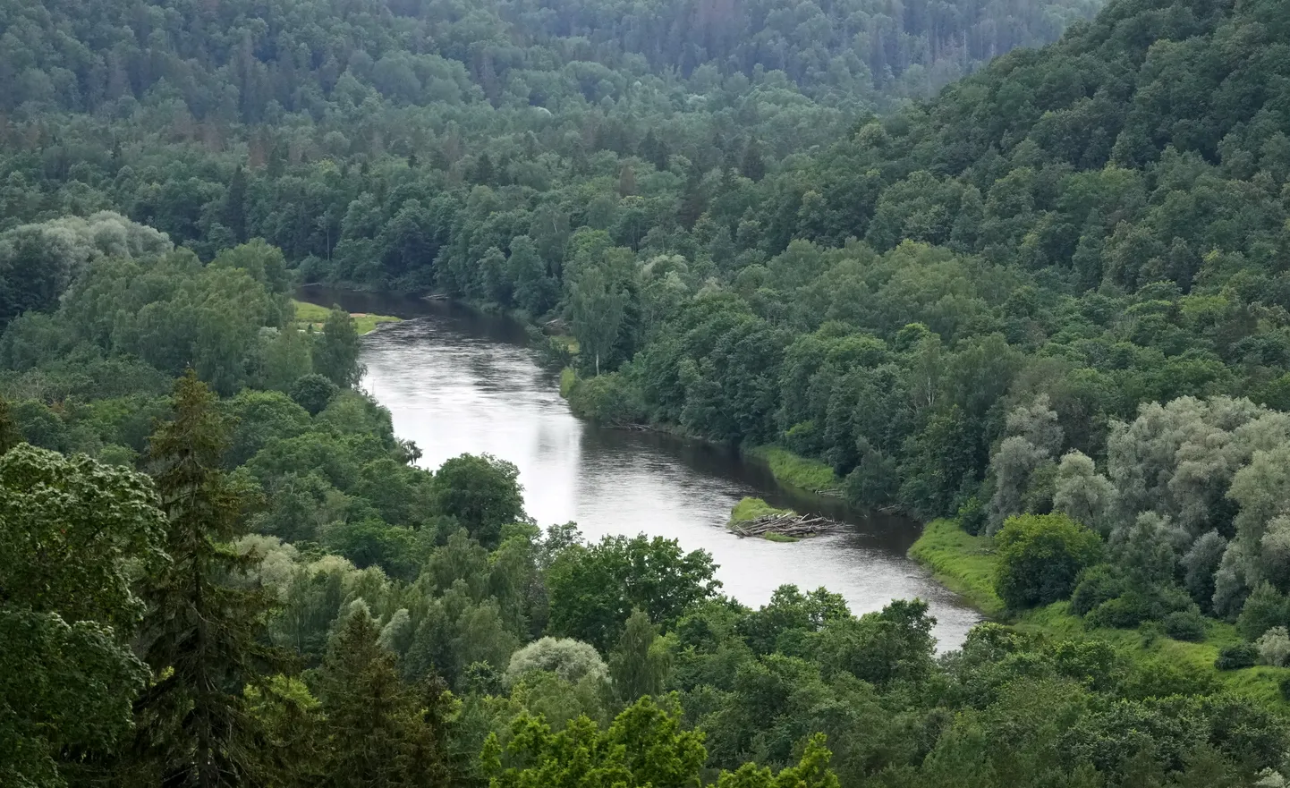 Raksta foto