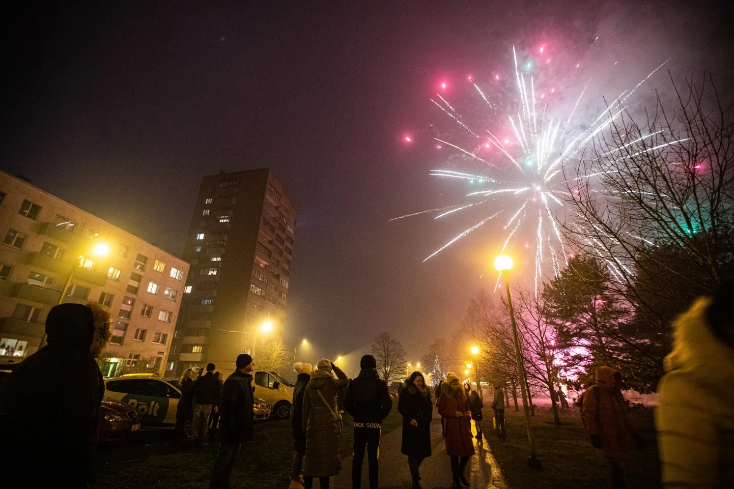 Празднование Нового года.
