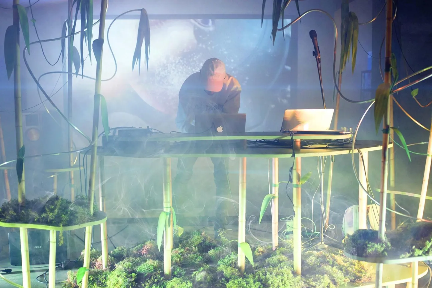 Biotoopial astub üles ka kunstnik Norman Orro.