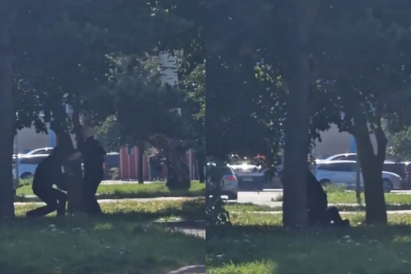 Tallinna toidupoe turvatöötaja läks kauplust külastanud mehele rusikatega kallale.