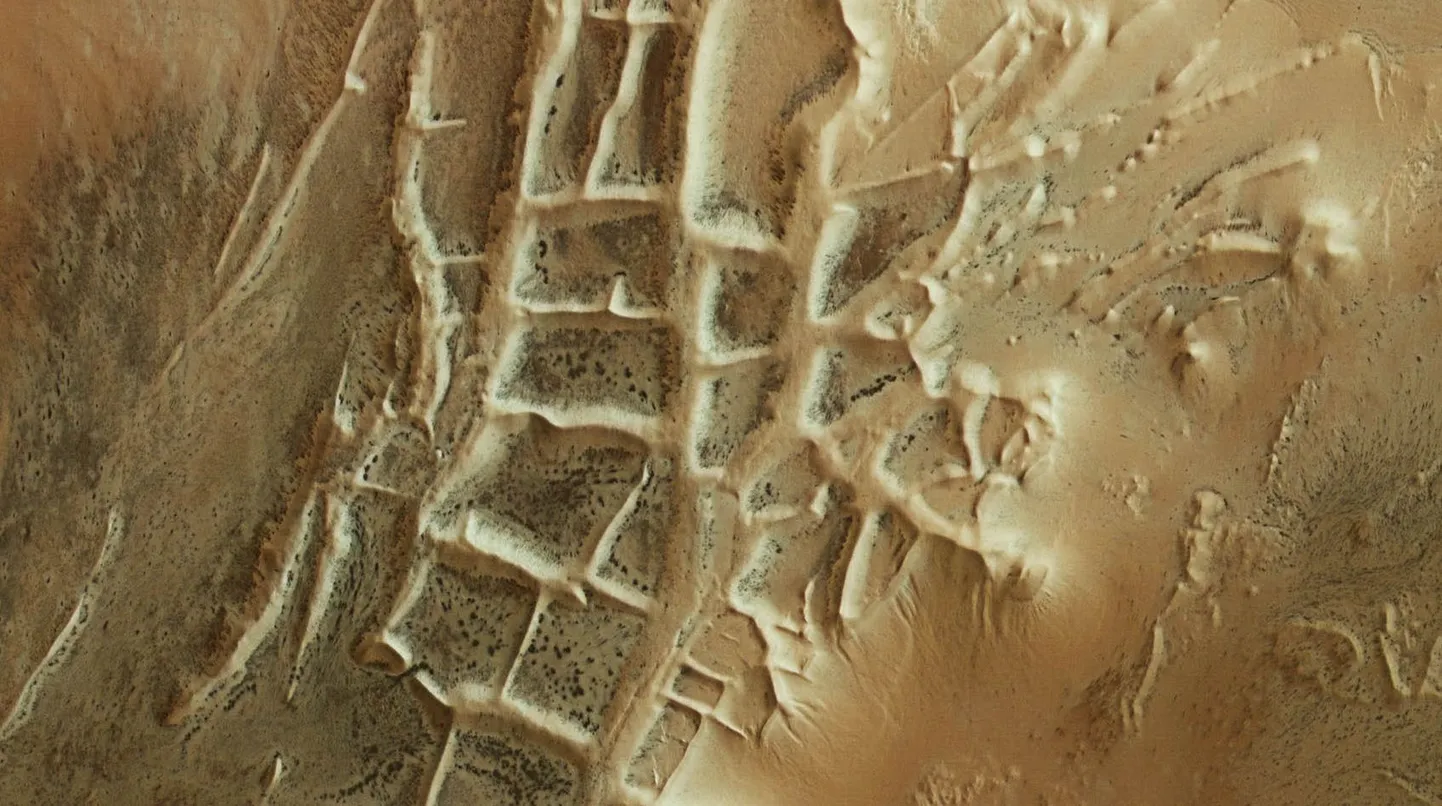 Need tumedad «ämblikud» pesitsevad Marsil justkui varemete vahel, mida kutsutakse sellepärast «Inkade linnaks», kuid tegelikult on ämblikulaadsed moodustised kevade märk.
