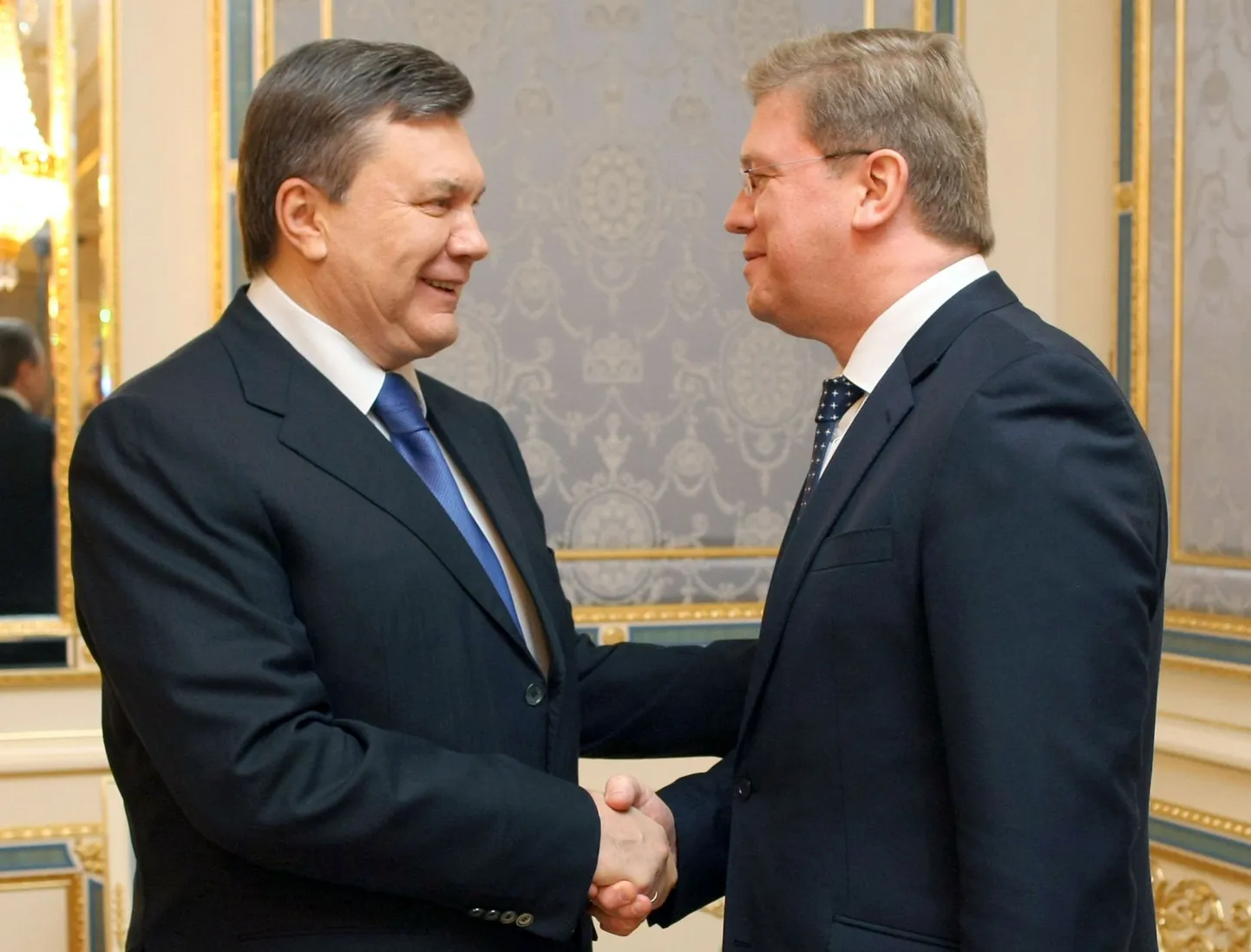Президент Украины Виктор Янукович (слева) и еврокомиссар Штефан Фюле во время встречи в Киеве 11 января 2010 года.