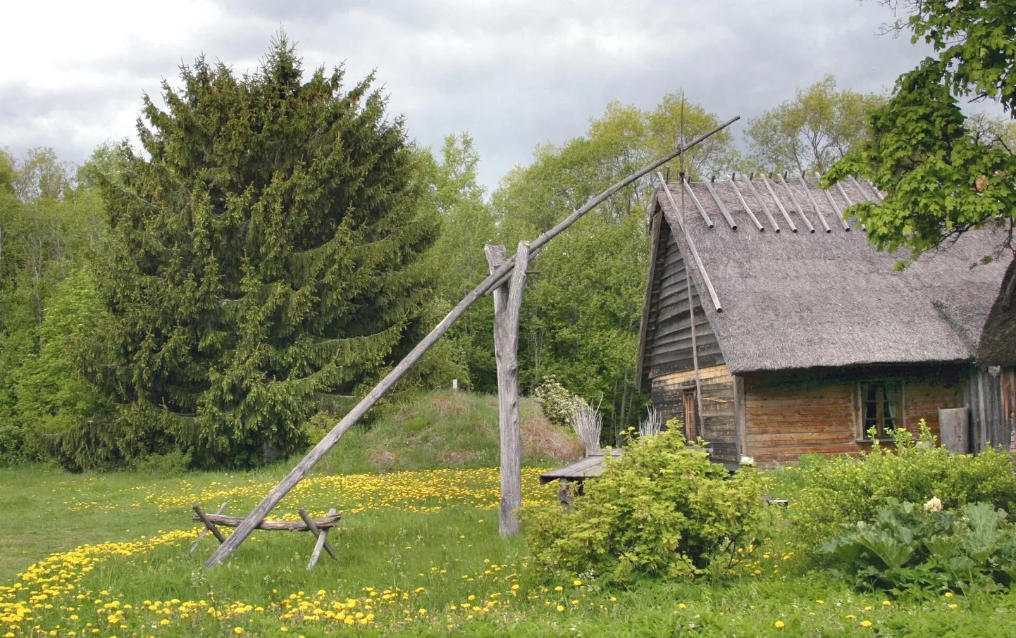 Vana rookatusega maamaja. Foto on illustreeriv.
