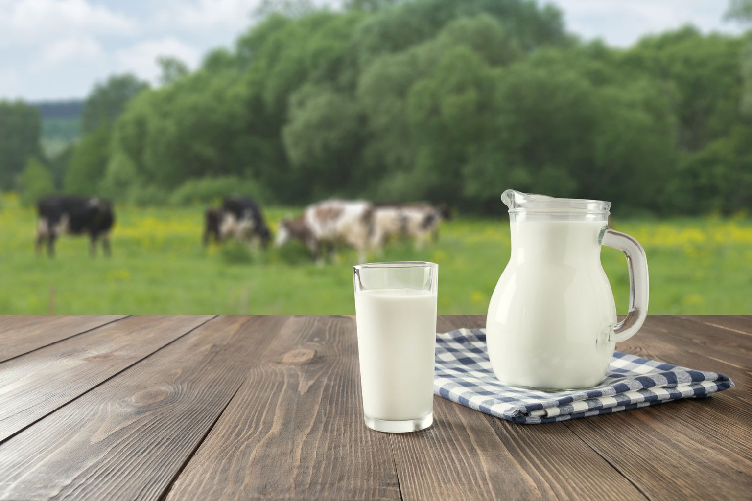 Молоко. Иллюстративное изображение