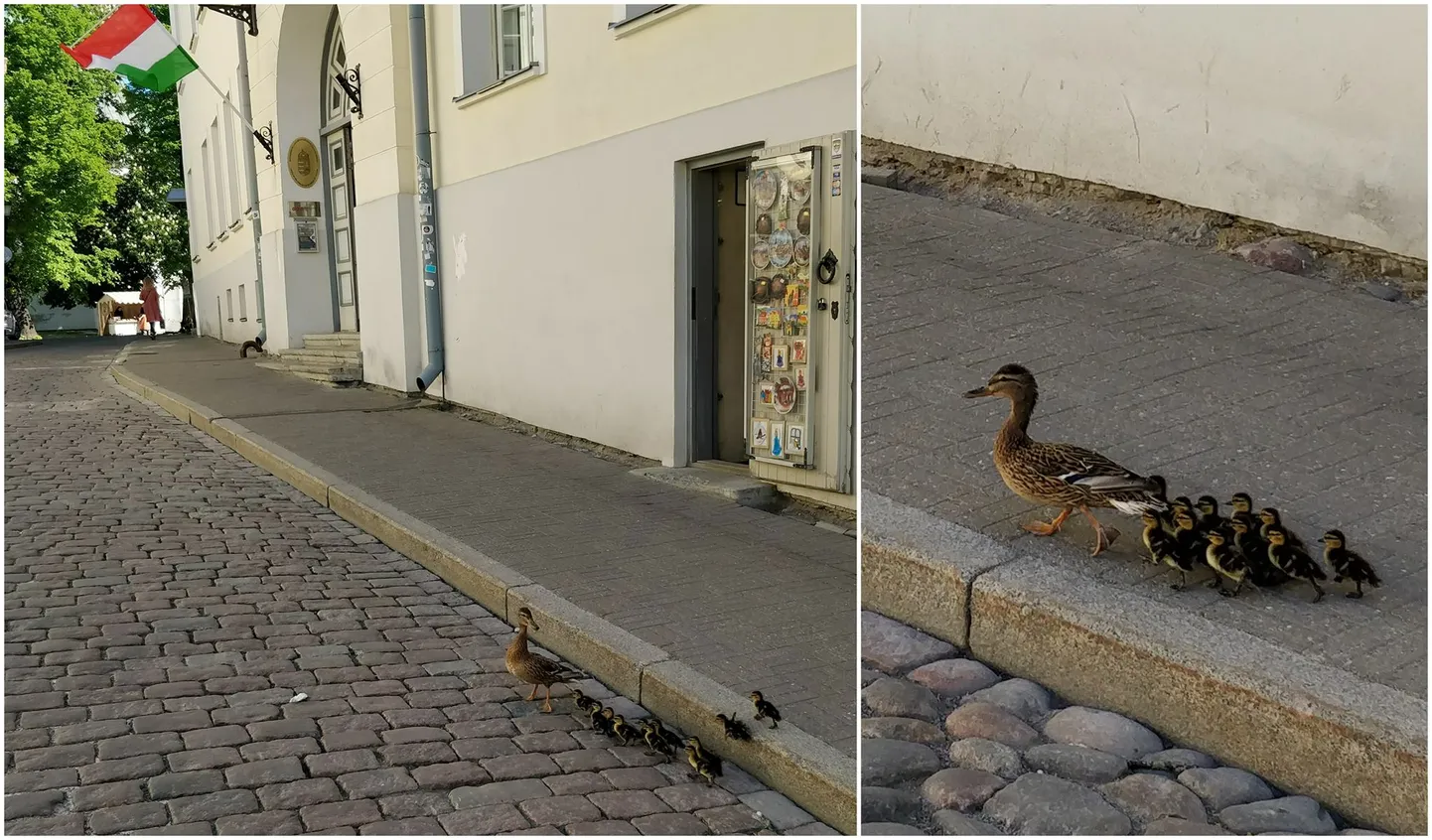 Фото статьи