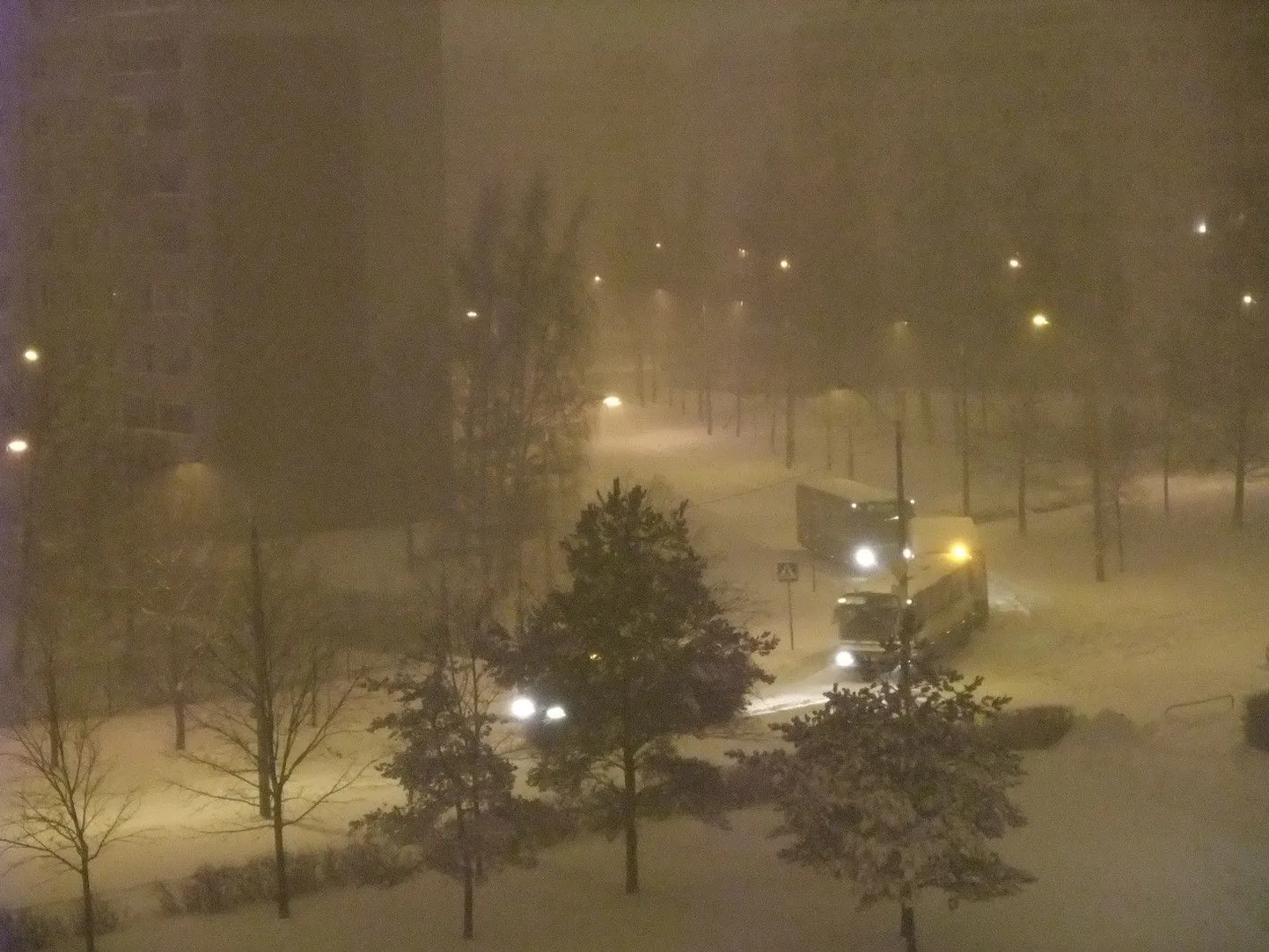 Võitlus lumega.