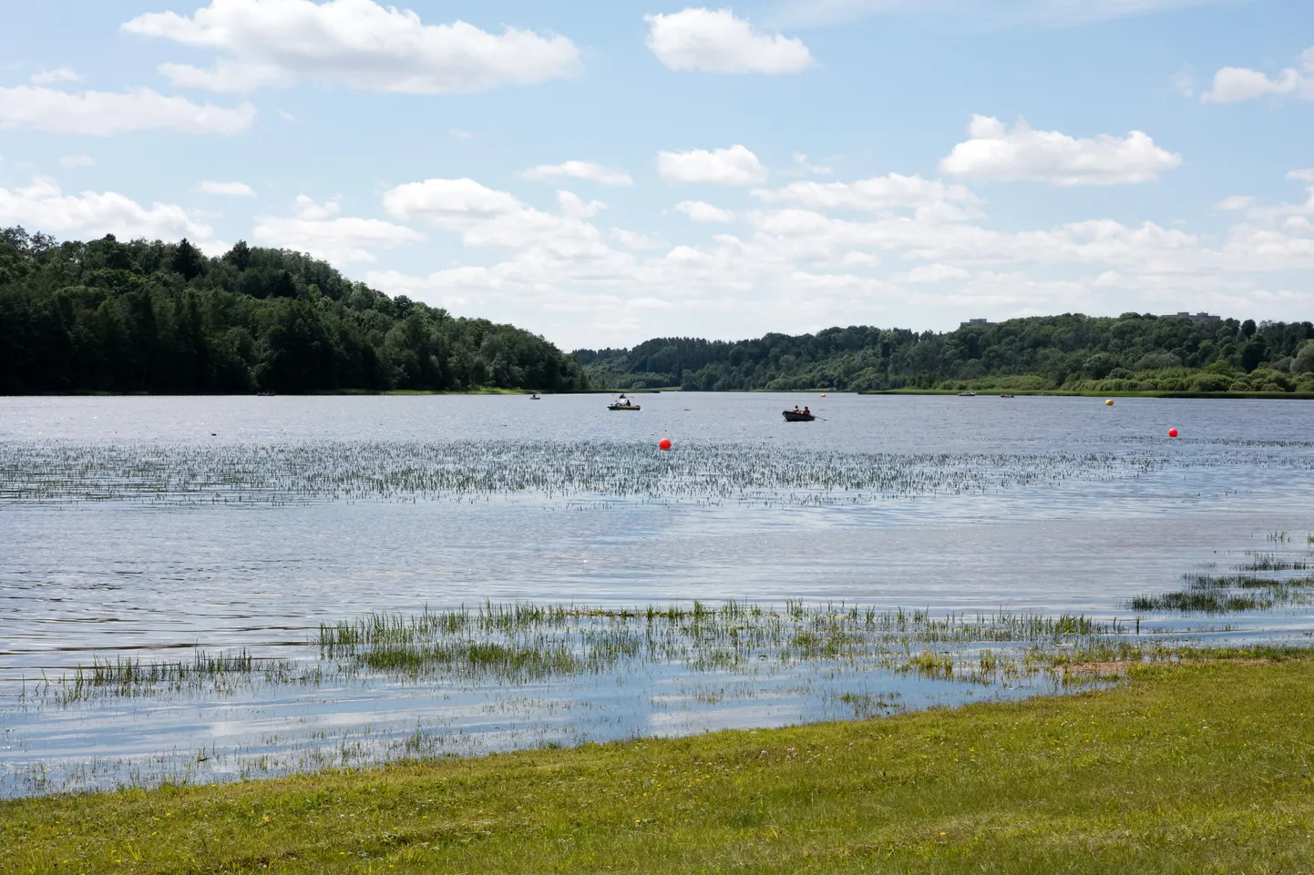 Viljandi järv