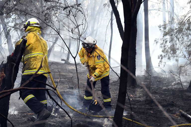 Tuletõrjujad Sydney äärelinna lähedal põlengut kustutamas.