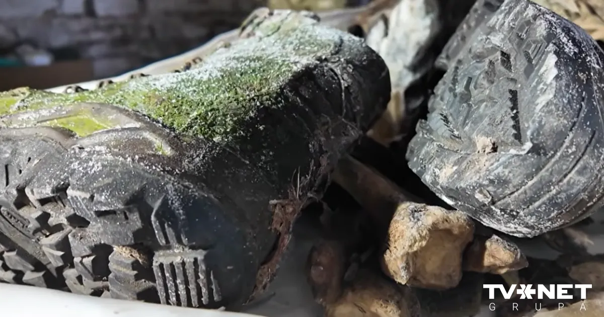 Ukraine Volunteers Risk Lives to Recover Fallen Soldiers | Placdarms