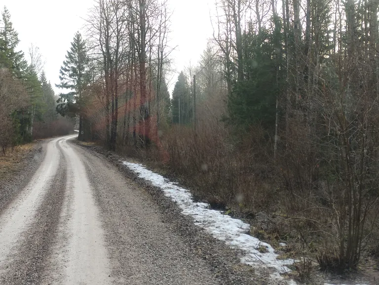 Robert tegi foto liinialusest Tagamõisas Kalmu külas.