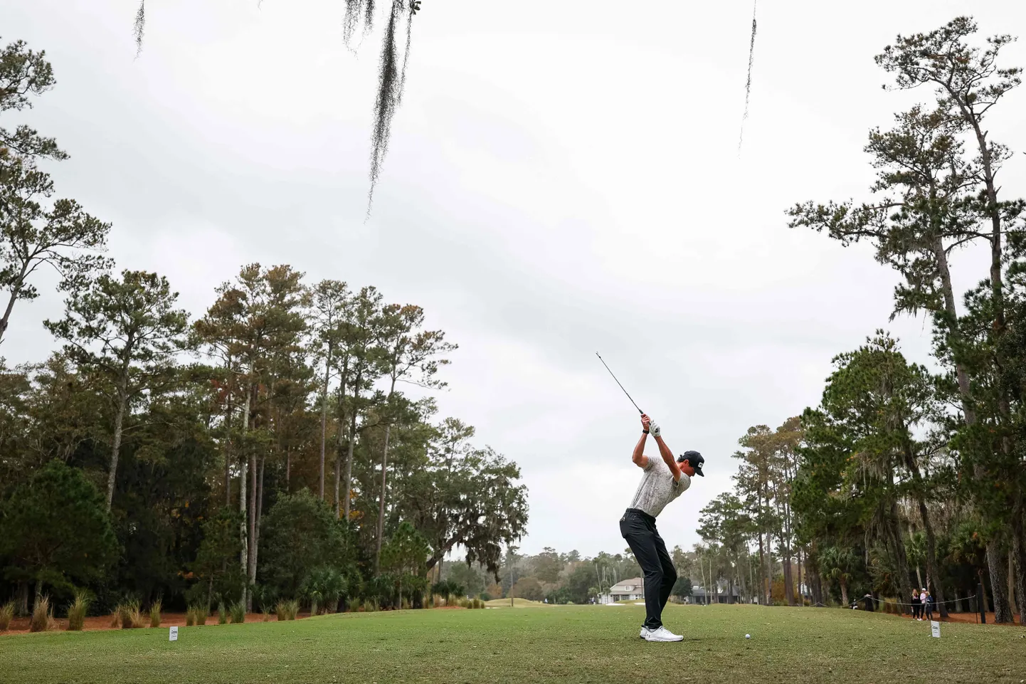 Golf. Pilt on illustreeriv.