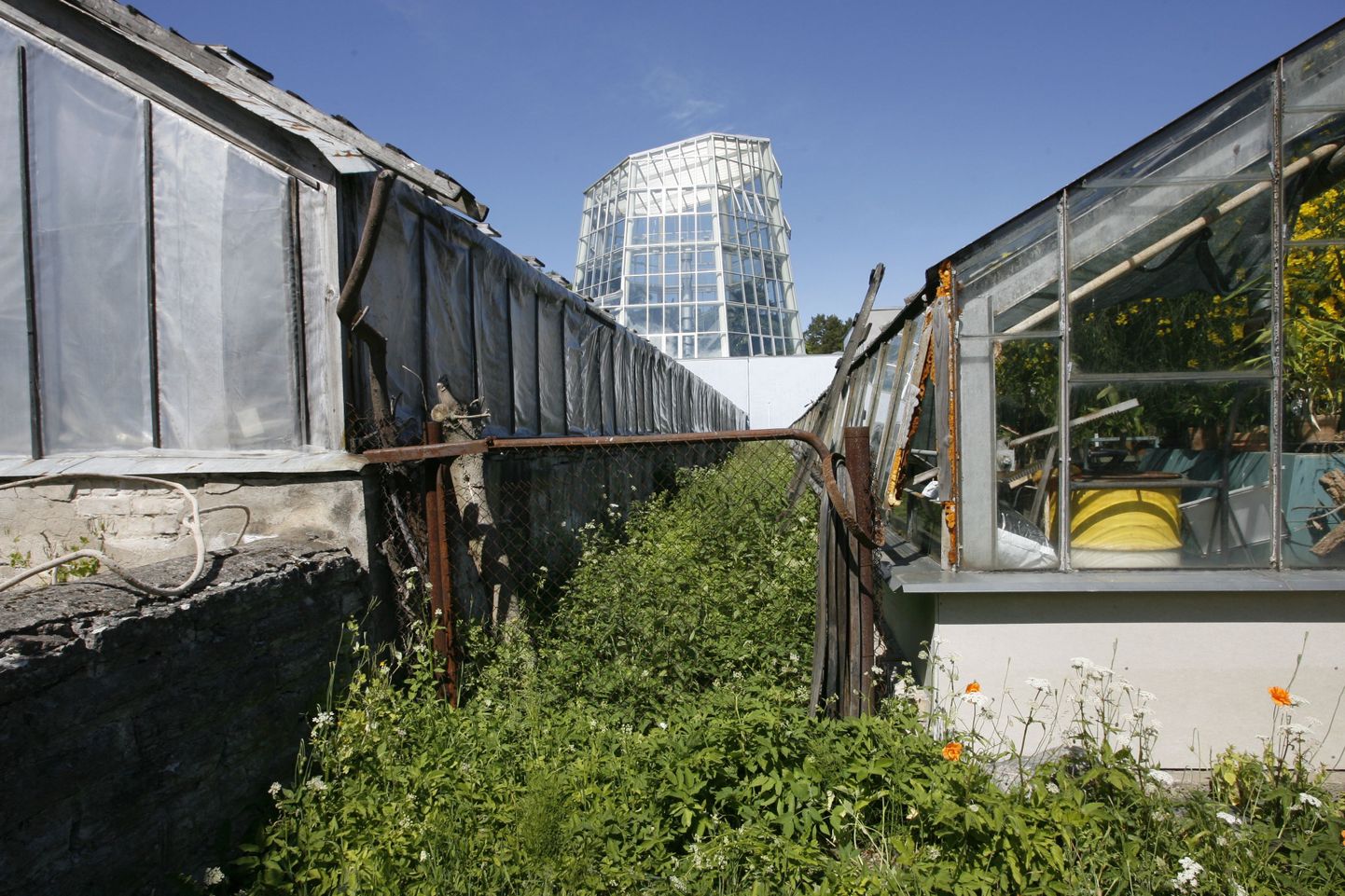 Tallinna botaanikaaia vanad kasvuhooned lähevad ümberehitusele.