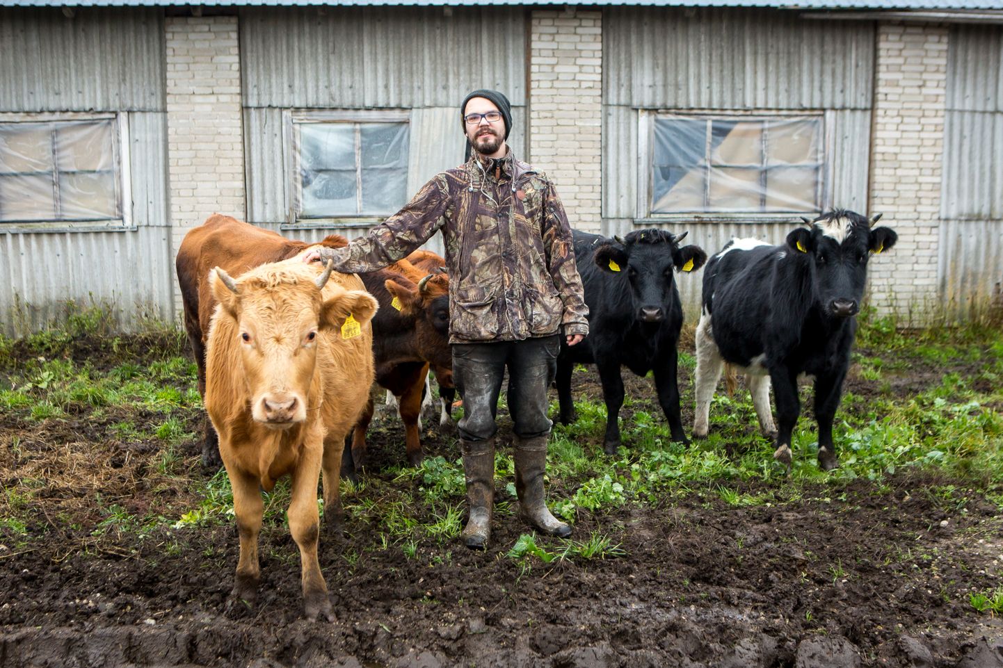 LÕPU ALGUS? Noortaluniku toetuse najal piimatootjaks hakanud Kaspar Põlluäär ei ole oma valiku õigsuses enam kindel ja kaalub karja likvideerimist.