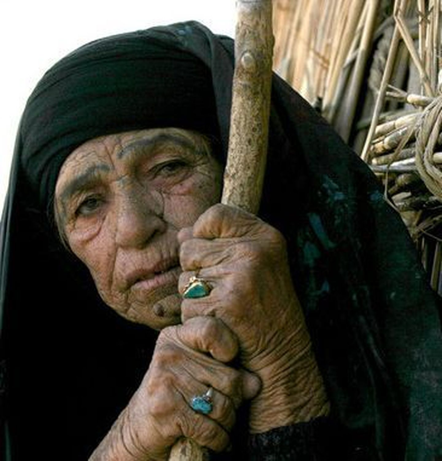 135-aastaselt türklannat peeti surnuks ja võeti pension ära