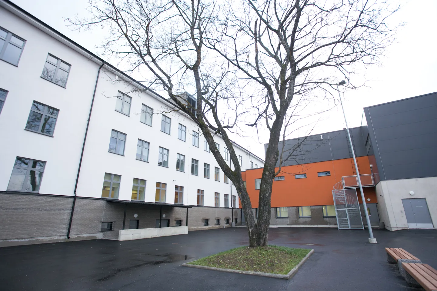 Maarjamaa hariduskolleegium.