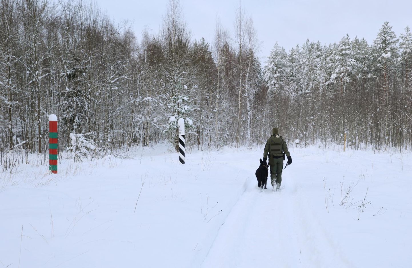Piirivalvekoer Mac patrullimas koerajuhiga Kagu-Eestis riigipiiril. Keskel Eesti, vasakul Venemaa piiripost.