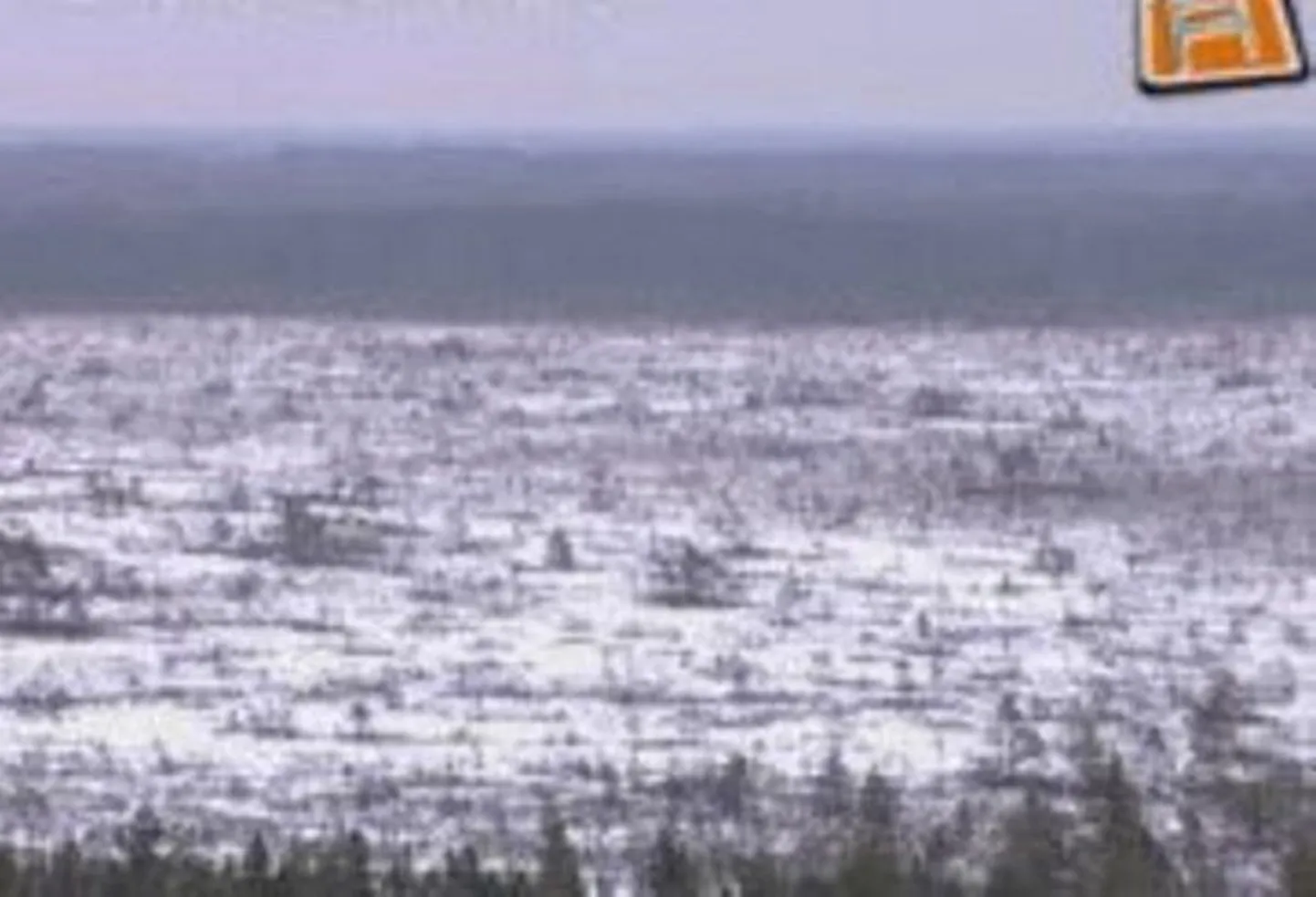 Tolkuse rabas on mõnus tõukekelguga matkata.